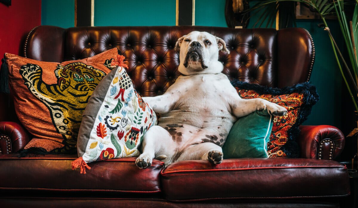 防疫在家可以幹嘛?好好把這5件事做好一起救國救民救自己吧!