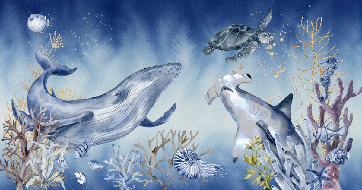 海邊不只玩水!認識鯨豚、海龜與海洋生物,帶著快乾巾展開夏日旅行