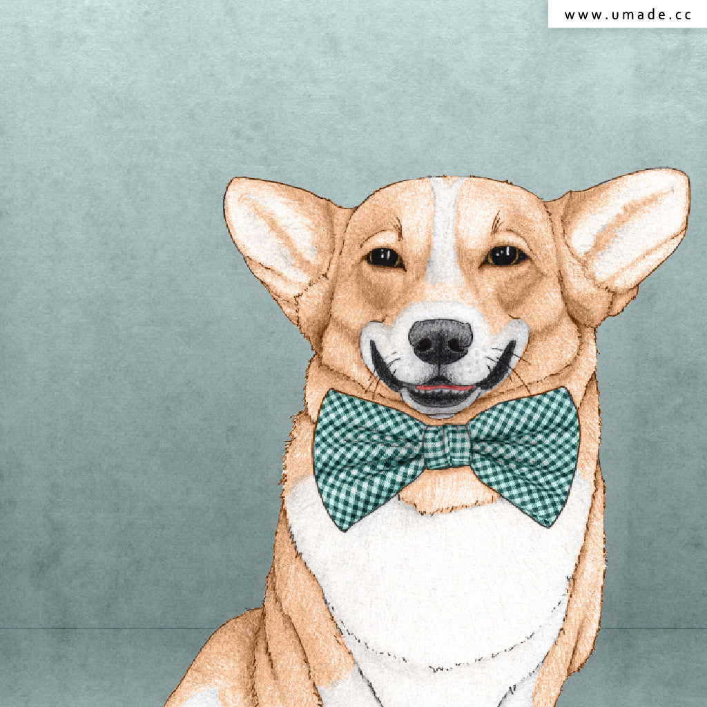 UMade★壁幔Wall Tapestry★ Corgi Dog - Barruf