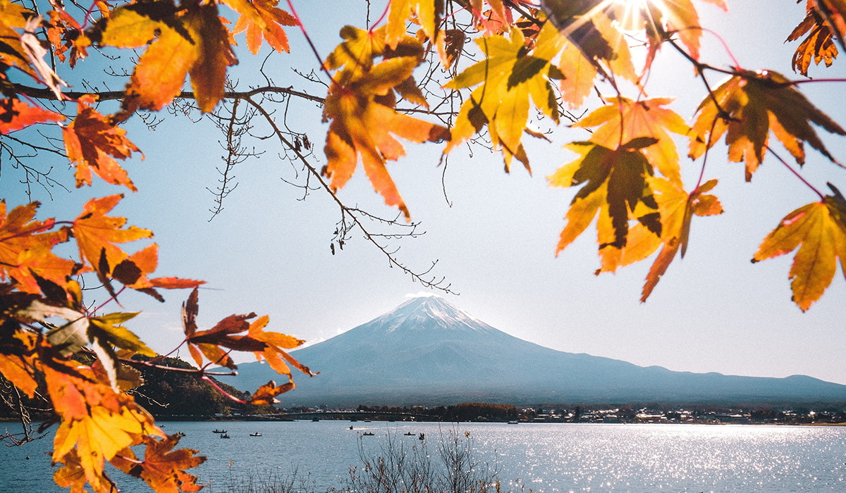 2019日本紅葉最強懶人包！10大賞楓景點最佳期間、特色一次搞懂！