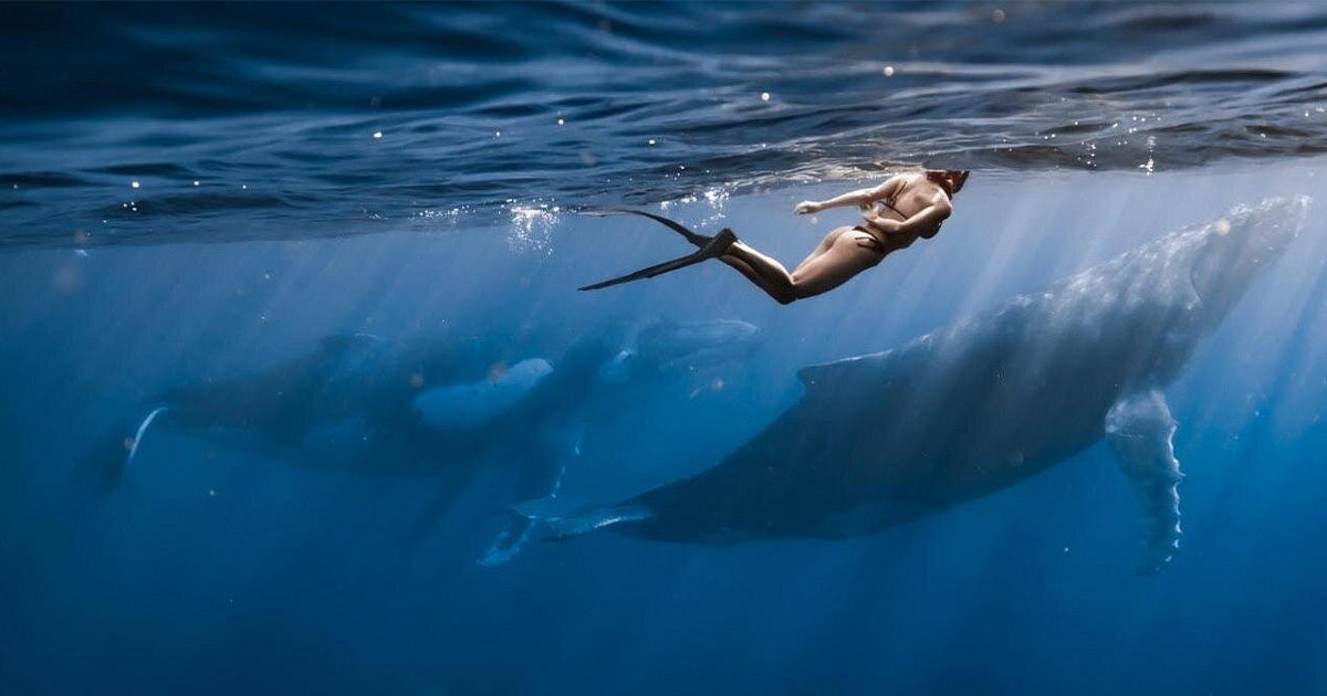 不是每一次與鯨魚的相遇都浪漫，有時是一場生死考驗