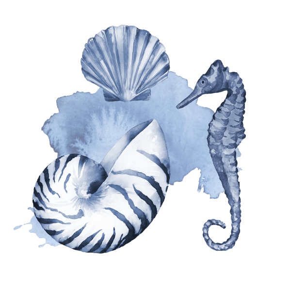 Umade海洋微笑系列萬用快乾巾海洋圖鑑款，圖樣設計icon。