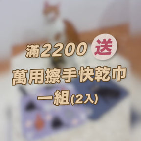 【聖誕限定🎄全站滿$2200贈】喵的~擦一下🐾快乾擦手巾組(2入)