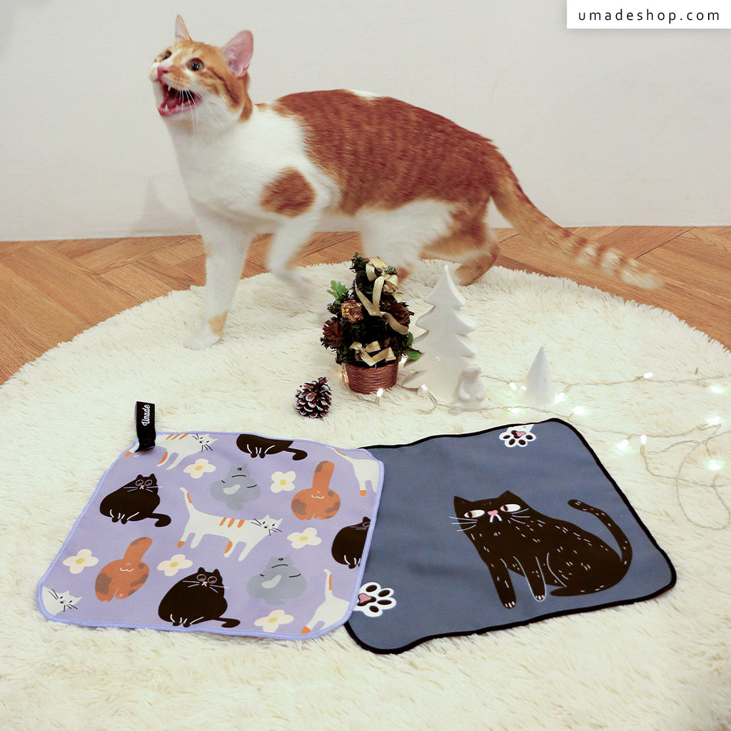 【聖誕限定🎄全站滿$2200贈】喵的~擦一下🐾快乾擦手巾組(2入)